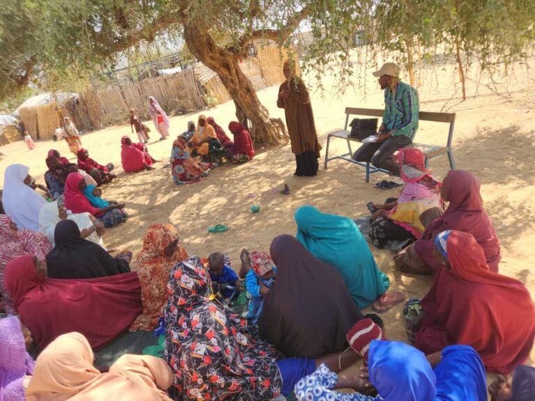 whatsapp image 2026 01 17 at 17.20.27