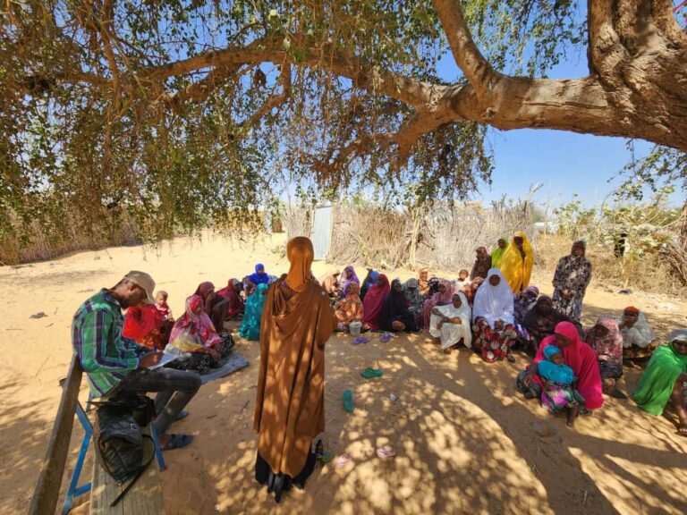 whatsapp image 2026 01 17 at 17.20.2711